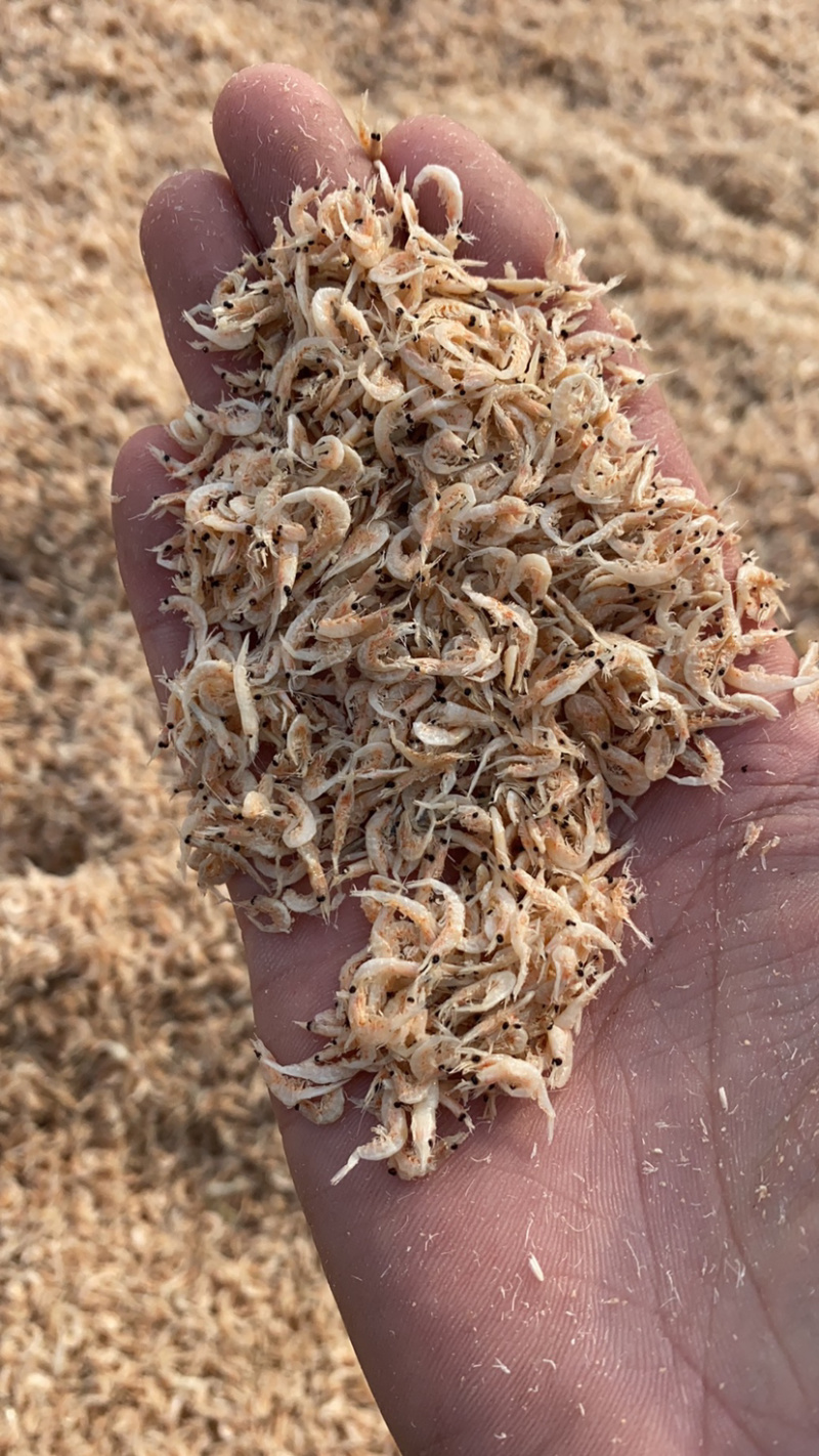 虾皮小虾皮电商专用小虾大量现货可定制代发