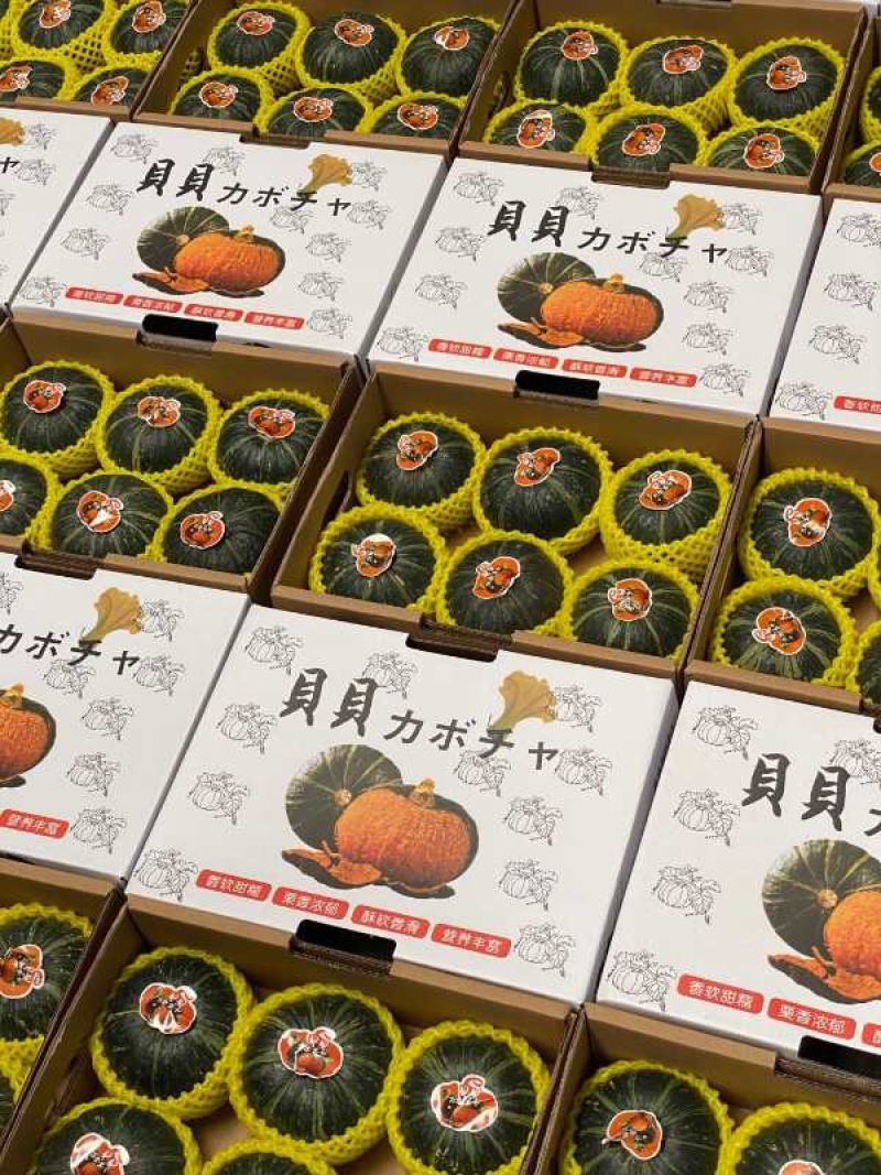 批发商超贝贝南瓜精品礼盒山东潍坊贝贝南瓜电商