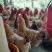 土鸡广西散养特产，冠毛亮老水，可视频看货量大从优。