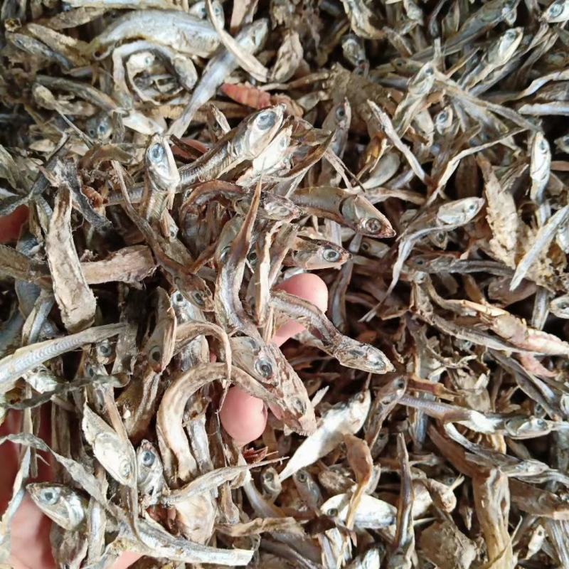 饲料级出水烂鱼干，干度好.鱼条均匀无杂质