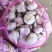 金乡红皮大蒜,质量好,价格低,代发市场,做包装,冷库储存
