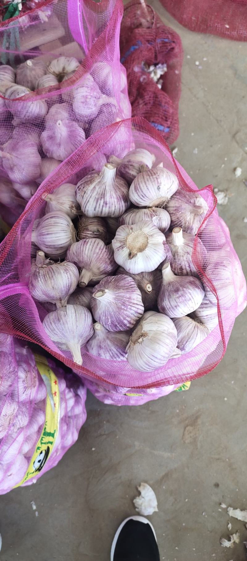 金乡红皮大蒜，质量好，价格低，代发市场，做包装，冷库储存