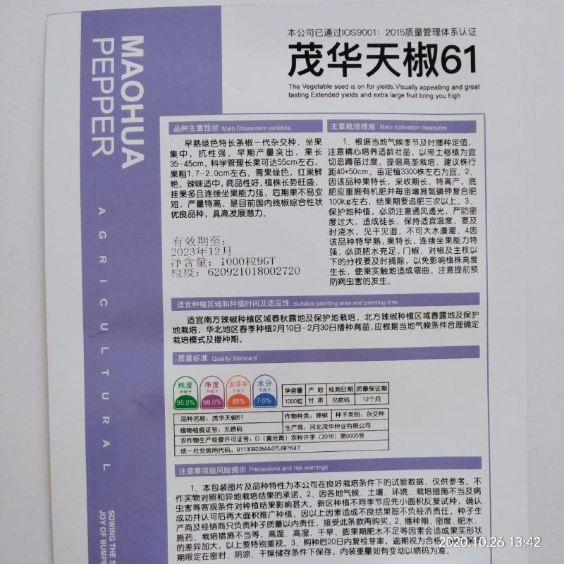 茂华天椒61抗病性强，一代杂交品种基地专用品种