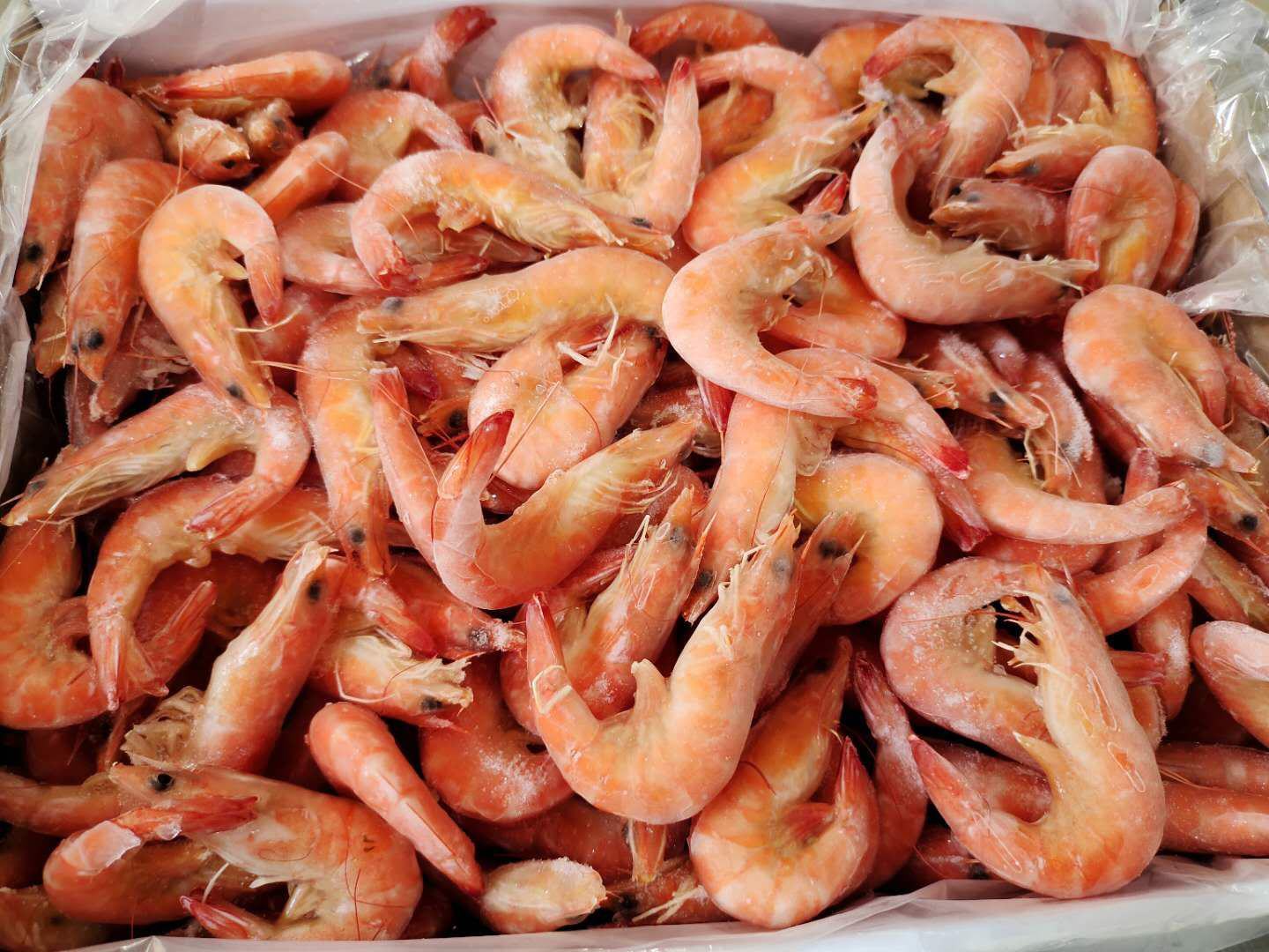 虾仁与油菜食材图