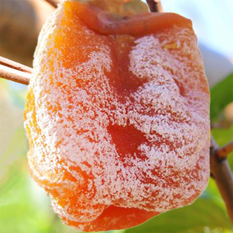 柿饼霜饼红饼青州质量很好