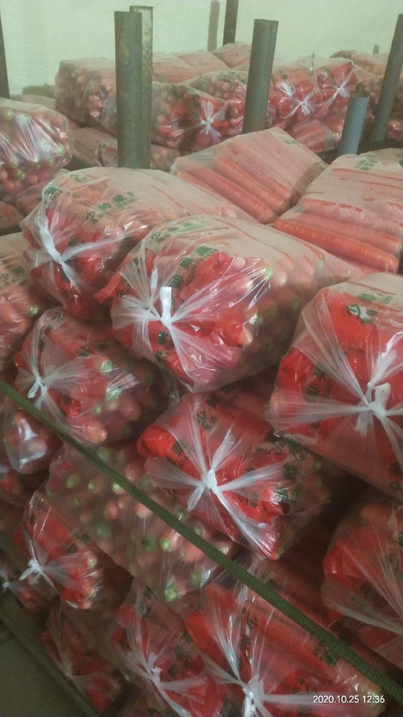 红萝卜大量上市全水洗保证质量欢迎订购