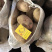 青薯九号，陇十，陇七土豆