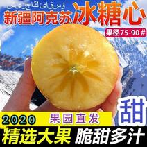 新疆阿克苏苹果新鲜现摘现发果园直销当季新疆苹果10斤顺丰