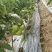 西红柿！大量上货！需要联系