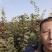 黄栌苗根系发达成活率高无病虫害现挖现发包邮