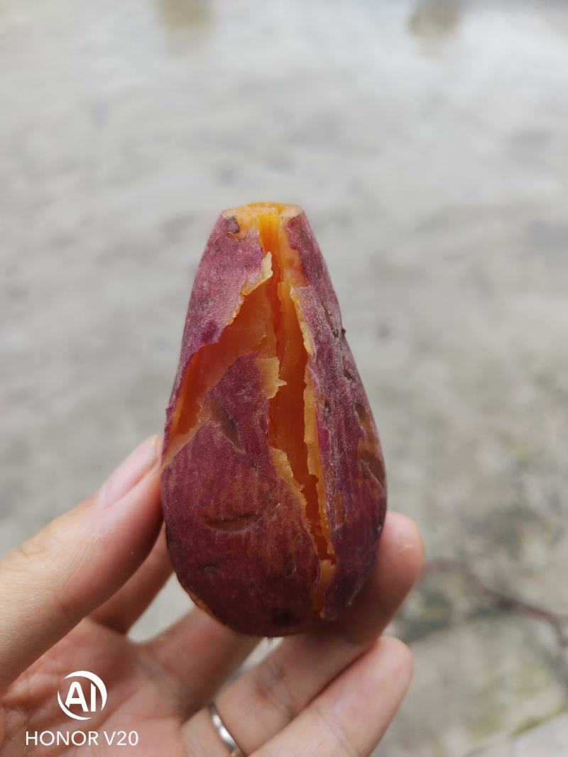 红薯新水果红薯红皮红心产地直发量大从优互利共赢！