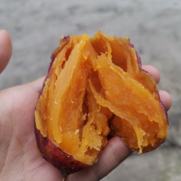 红薯新水果红薯红皮红心产地直发量大从优互利共赢！