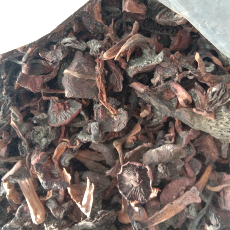 红蘑，铆钉菇，松树伞，挑出来的，焦，霉变的，河北一手货源