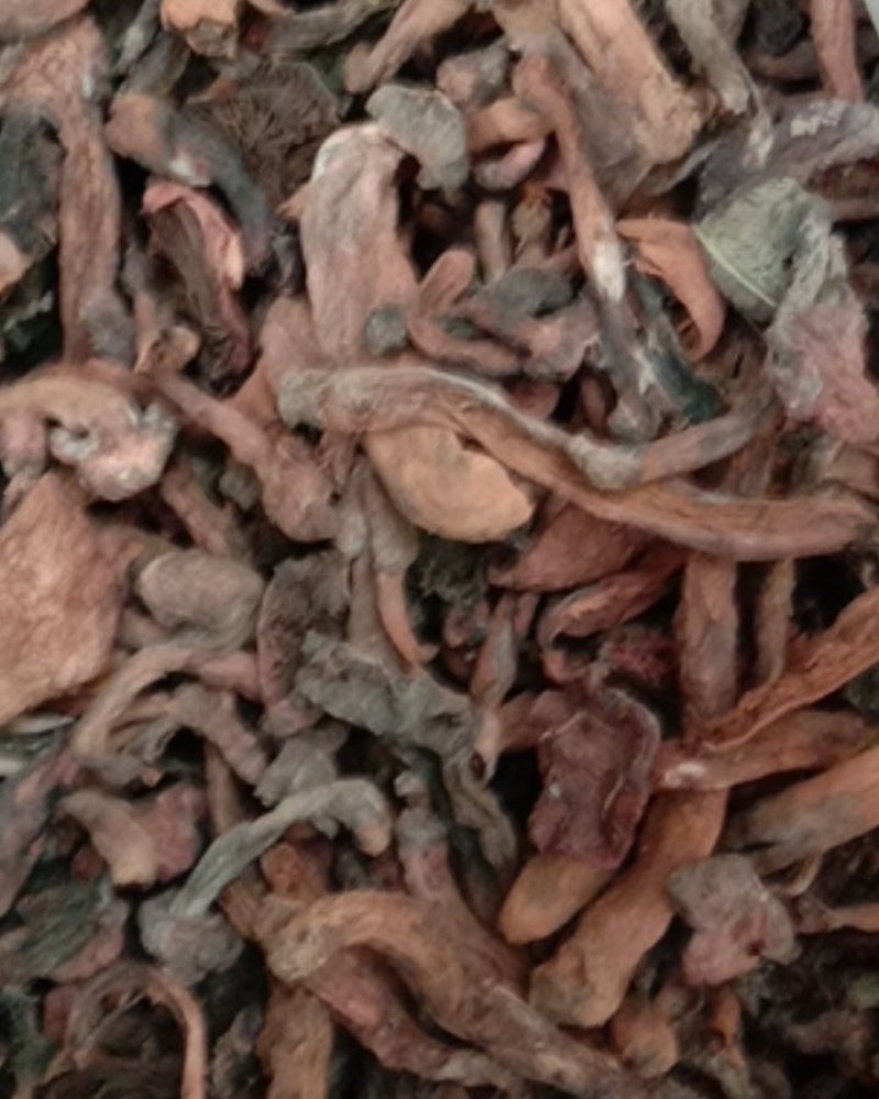 红蘑，铆钉菇，松树伞，挑出来的，焦，霉变的，河北一手货源