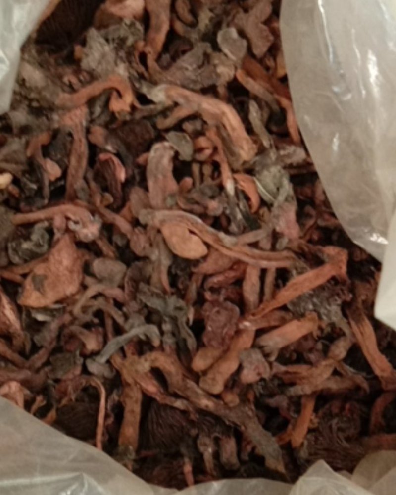 红蘑，铆钉菇，松树伞，挑出来的，焦，霉变的，河北一手货源