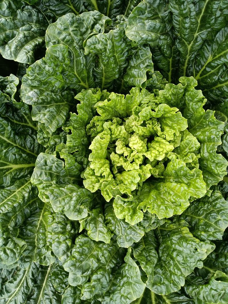 重量足，预计六米八，一辆可发走，明天。