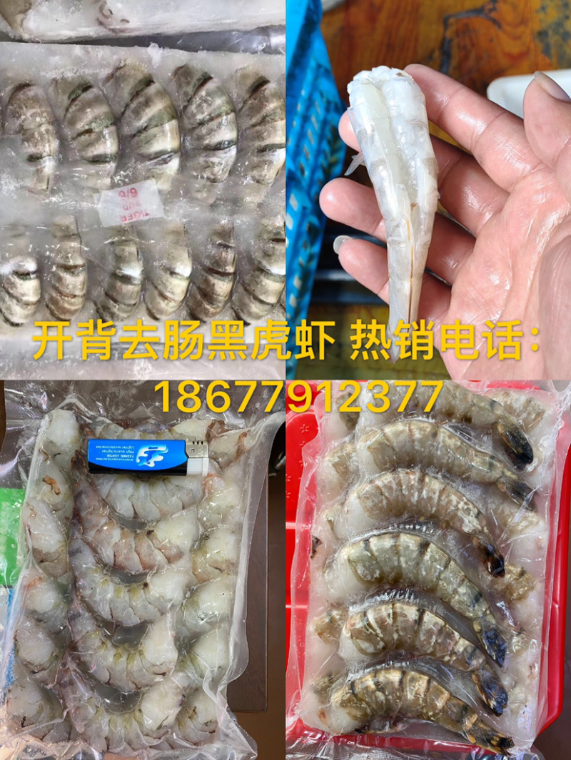 黑虎特大虾品质保证