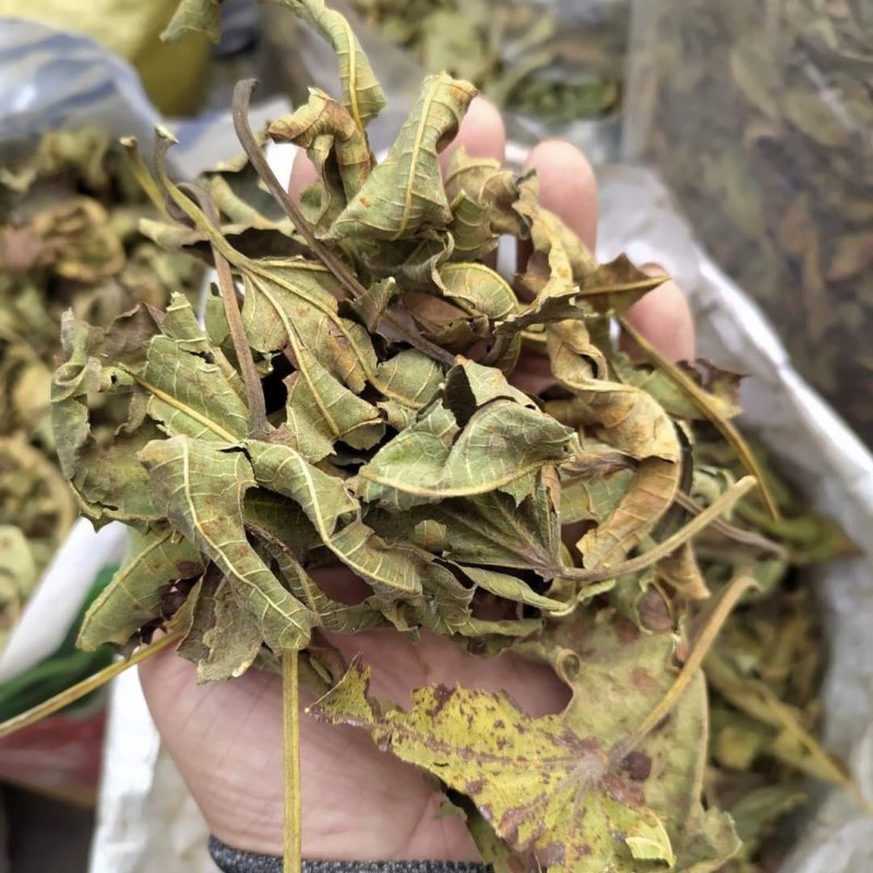 无花果叶产地直供支持线上交易可搭配多品种采购大货联系