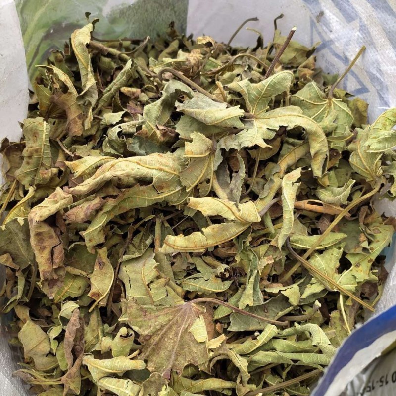 无花果叶产地直供支持线上交易可搭配多品种采购大货联系