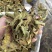 无花果叶产地直供支持线上交易可搭配多品种采购大货联系