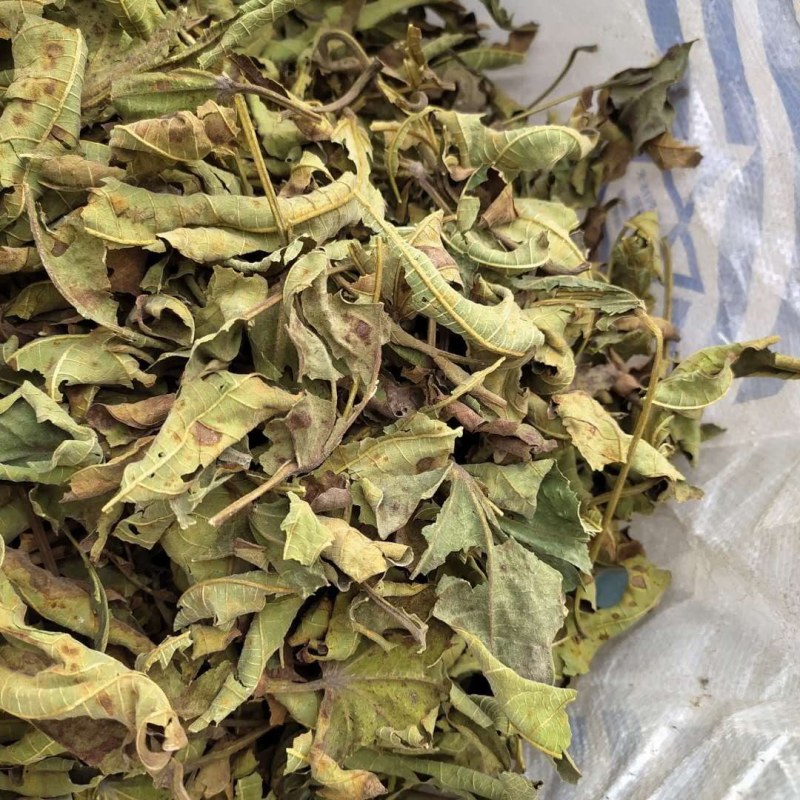 无花果叶产地直供支持线上交易可搭配多品种采购大货联系