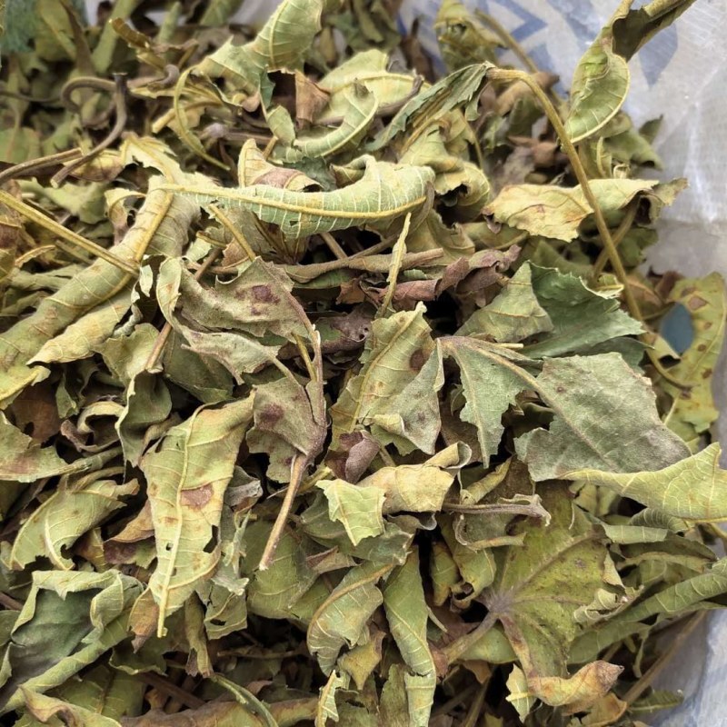 无花果叶产地直供支持线上交易可搭配多品种采购大货联系