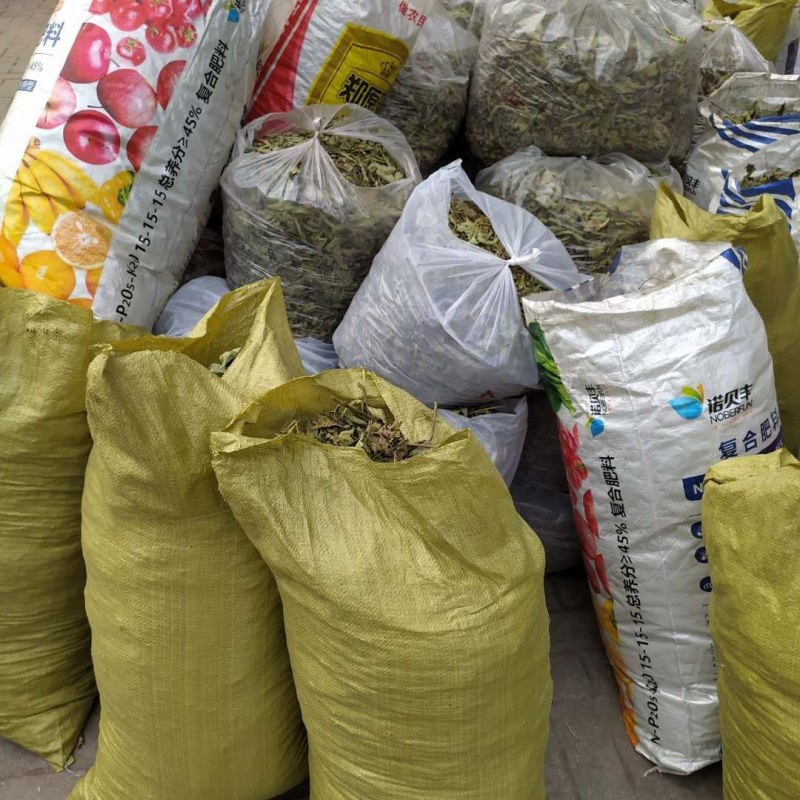无花果叶产地直供支持线上交易可搭配多品种采购大货联系