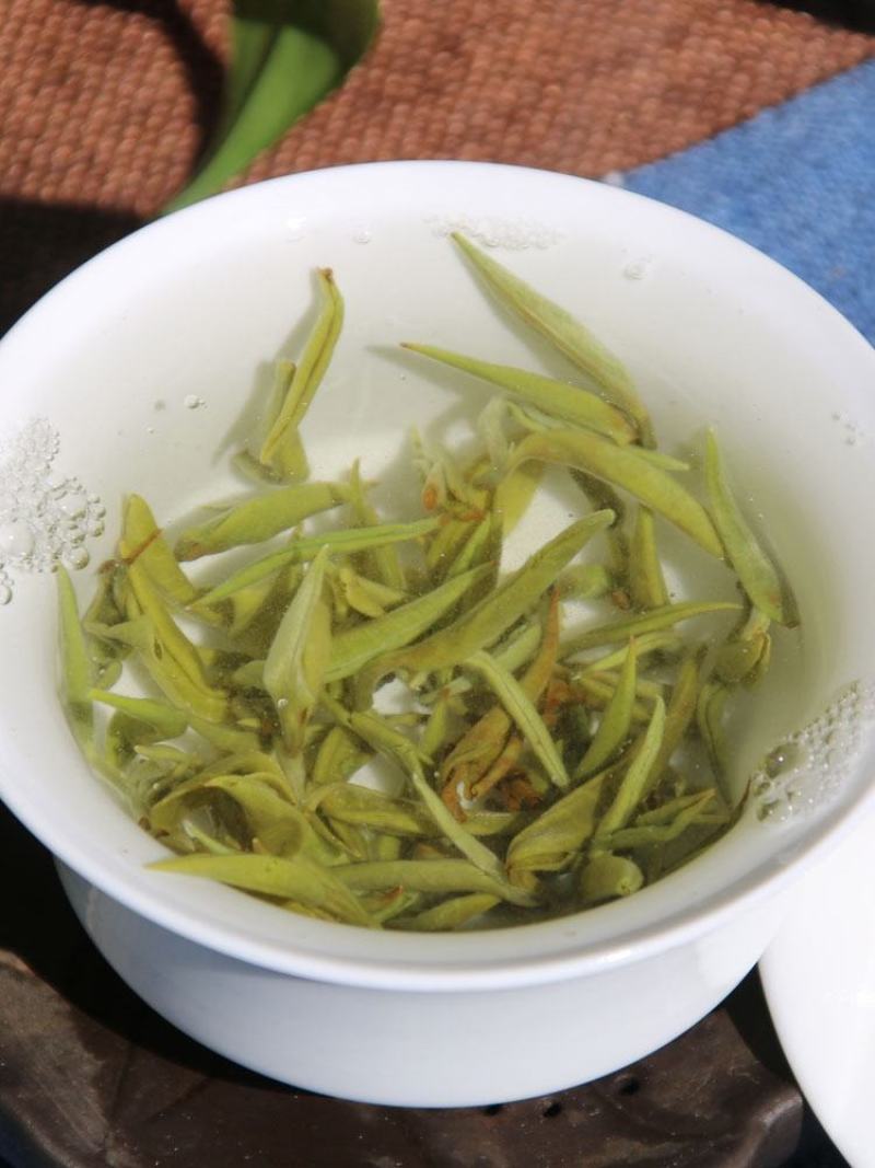 2022云南绿茶碧螺春早春茶浓香耐泡型绿茶