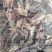【文斌药业】地龙全开地龙段无泥头地道药材