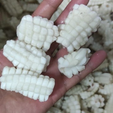 鱿鱼花鱿鱼翼单冻自然冰