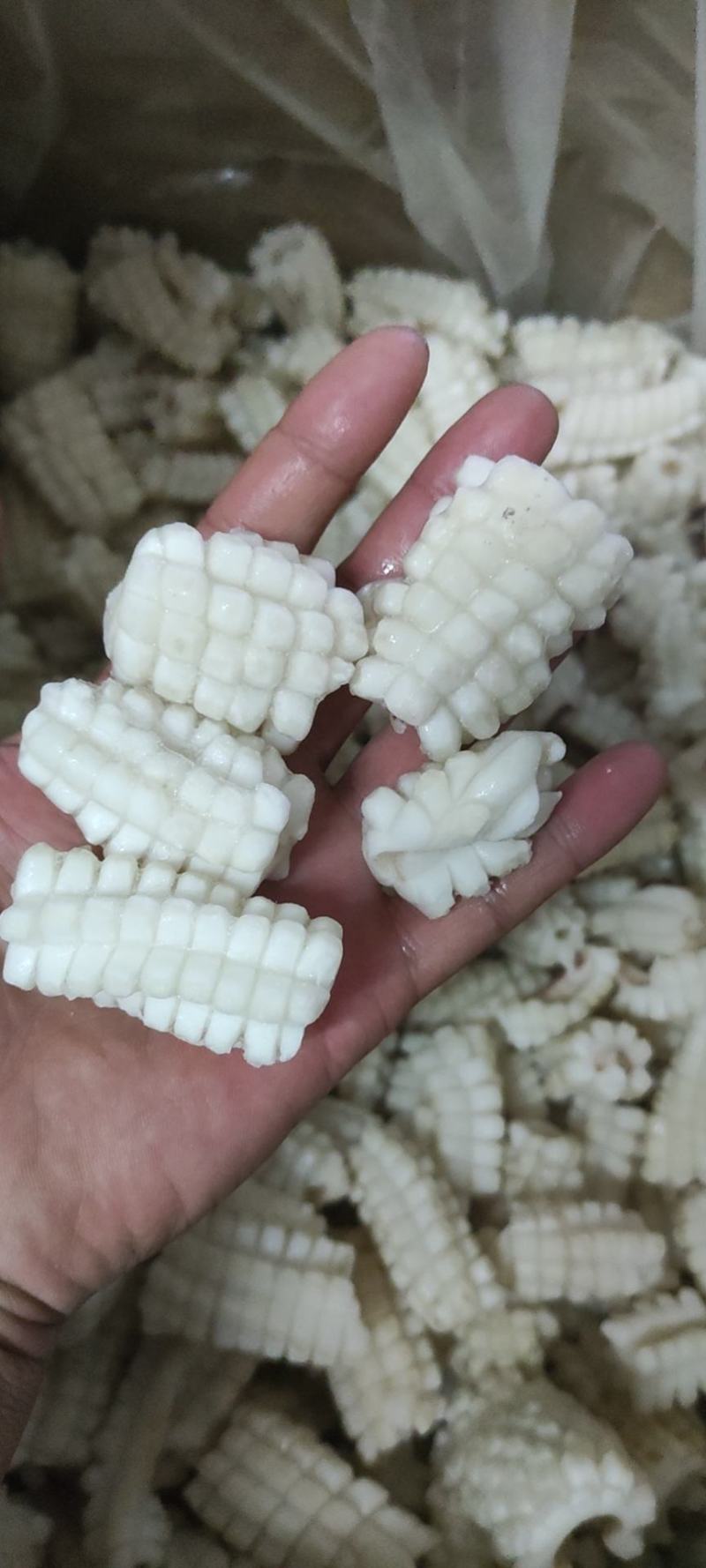 鱿鱼花鱿鱼翼单冻自然冰