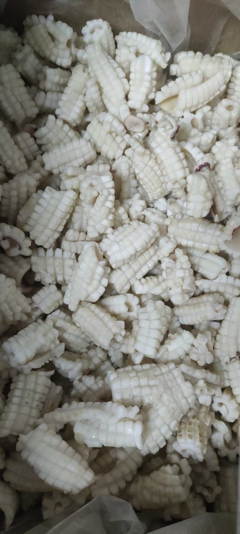 鱿鱼花鱿鱼翼单冻自然冰