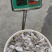 章鱼八爪88888888