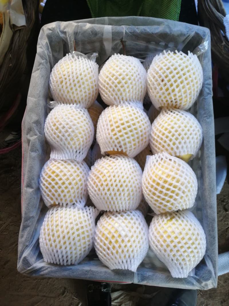 雪花梨不多啦，，，抓紧预定