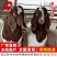 活羊纯种波尔山羊3-6月幼崽小羊羔怀孕母羊种公羊