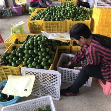 专业清洗打包长期来本地发货的厂里可提供住宿