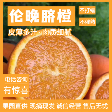 【伦晚】脐橙秭归脐橙皮薄汁多无差价诚信经营