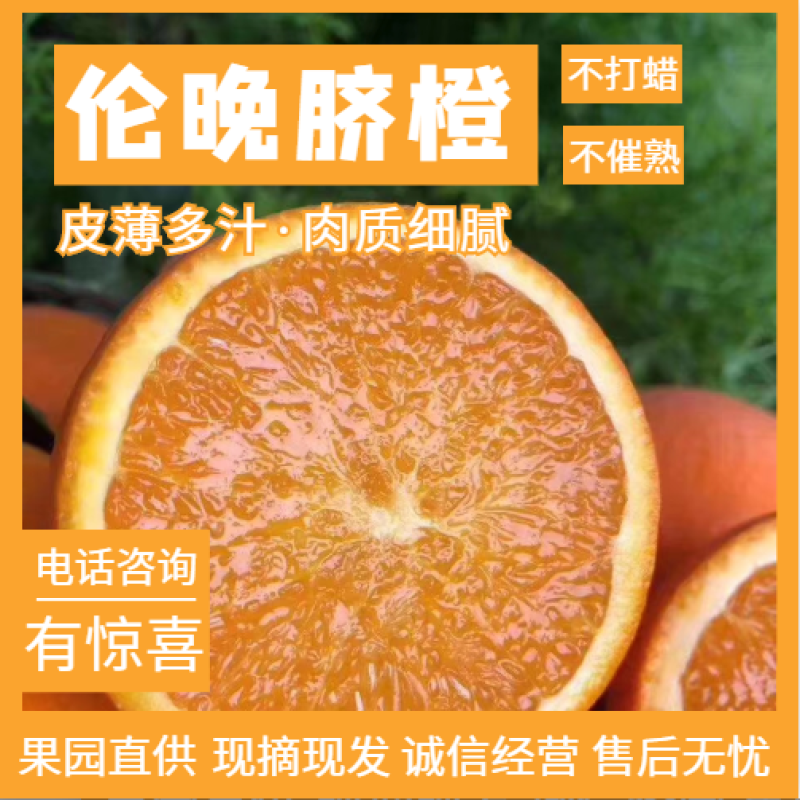 【伦晚】脐橙秭归脐橙皮薄汁多无差价诚信经营