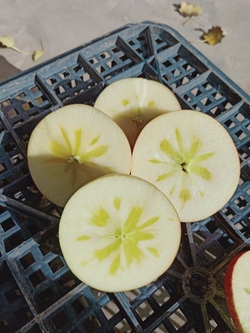 阿克苏冰糖心苹果光果糖心苹果顺丰包邮寻找合作伙伴