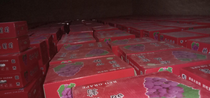 万亩新疆红提，5斤礼品盒包装，大量有货