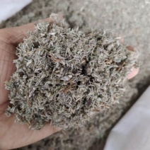 茵陈产地直供支持线上交易可搭配多品种采购大货联系客服