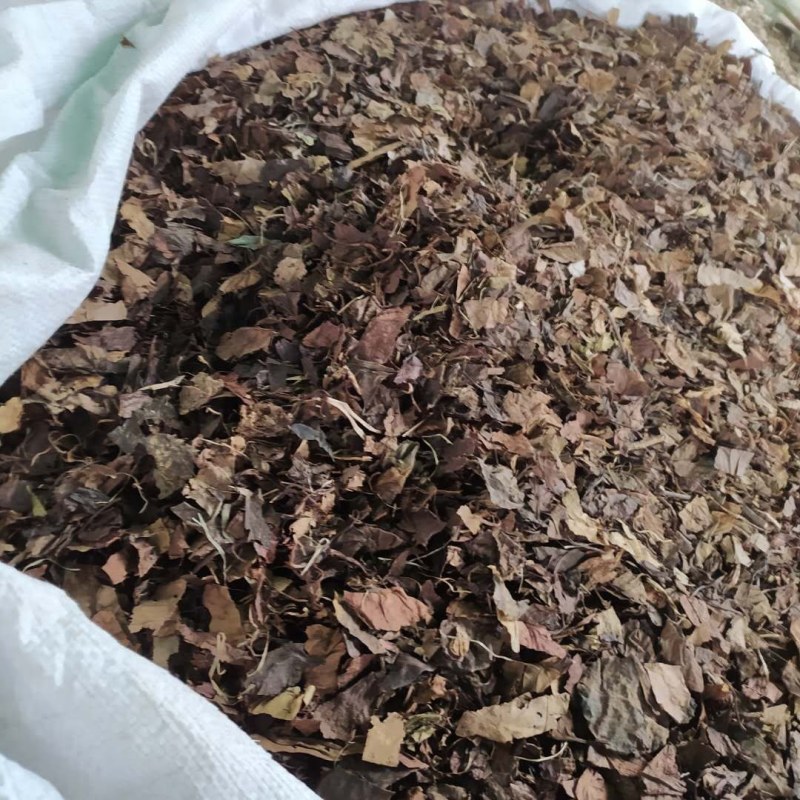 鹿衔草鹿含草支持线上交易可搭配多品种采购大货联系