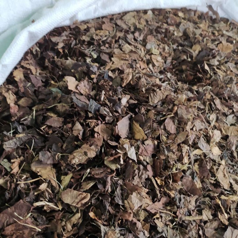 鹿衔草鹿含草支持线上交易可搭配多品种采购大货联系
