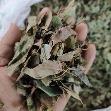 淫羊藿产地直供可搭配多品种采购大货联系客服