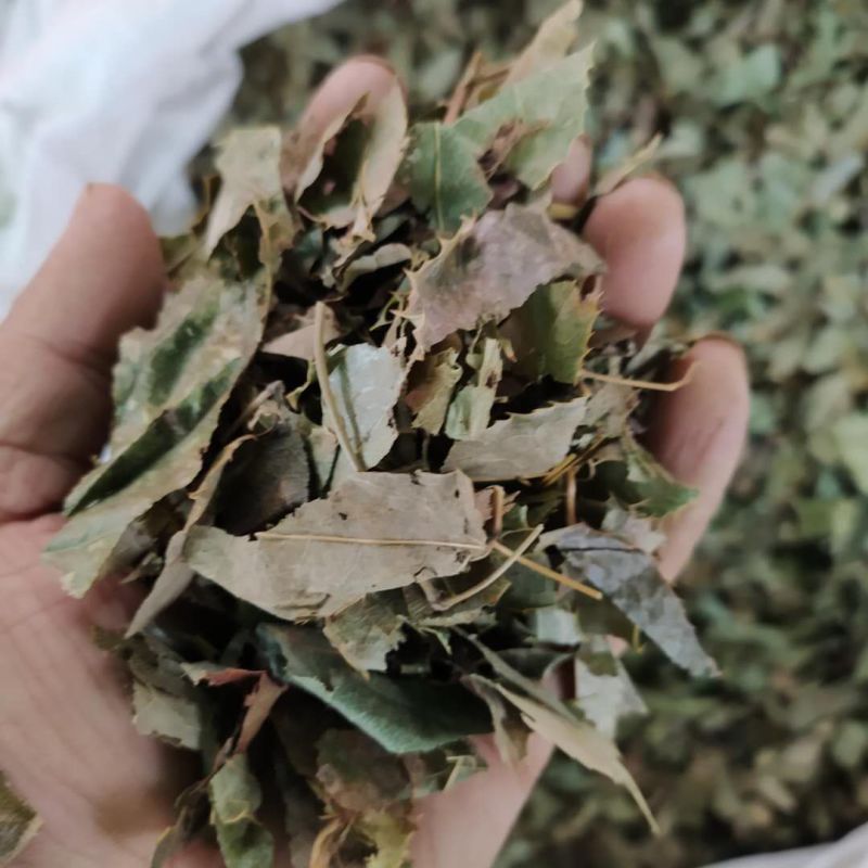 淫羊藿产地直供可搭配多品种采购大货联系客服