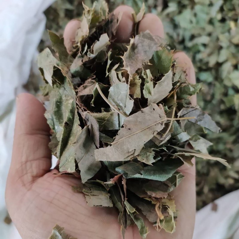 淫羊藿产地直供可搭配多品种采购大货联系客服