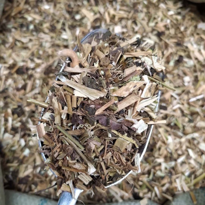 龙葵产地直供支持线上交易可搭配多品种采购大货联系客服