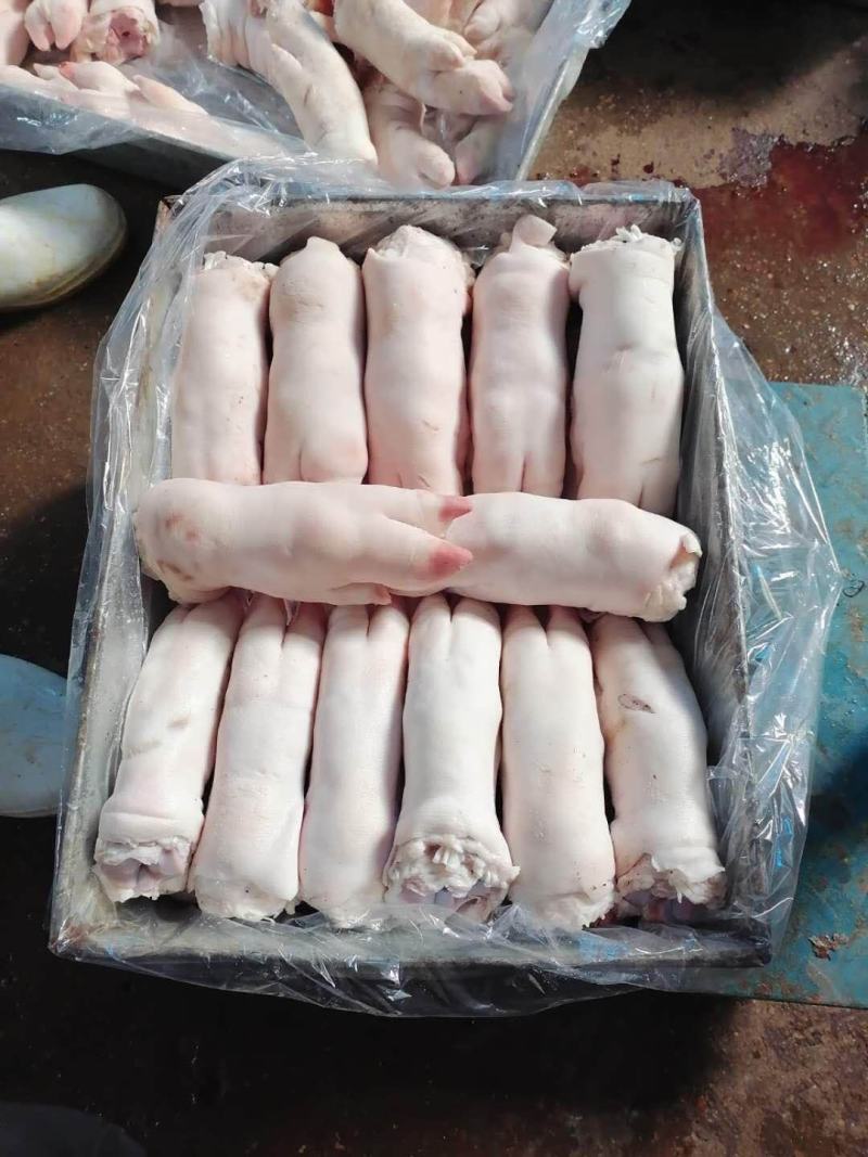 批发鲜猪腰等等的猪副产品