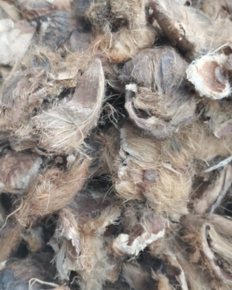 大腹皮软毛大腹毛无硫熏各种中药材