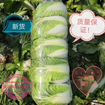 大白菜精品,质量保证,诚信经营,优惠上市中!!!